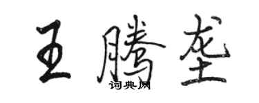 駱恆光王騰壟行書個性簽名怎么寫