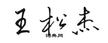 駱恆光王松傑行書個性簽名怎么寫