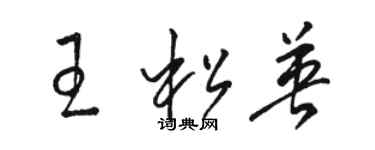 駱恆光王松英草書個性簽名怎么寫