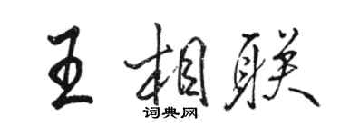 駱恆光王相聯行書個性簽名怎么寫