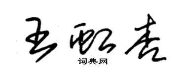 朱錫榮王虹杏草書個性簽名怎么寫