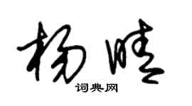 朱錫榮楊晴草書個性簽名怎么寫