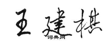 駱恆光王建棋行書個性簽名怎么寫