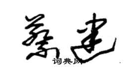 朱錫榮蔡建草書個性簽名怎么寫