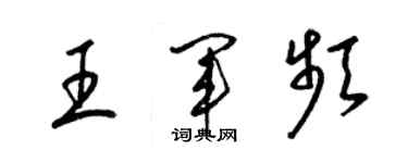 梁錦英王軍頻草書個性簽名怎么寫