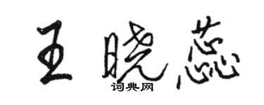 駱恆光王曉蕊行書個性簽名怎么寫