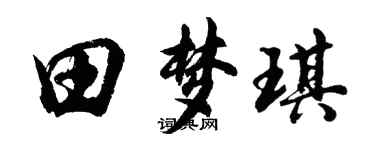 胡問遂田夢琪行書個性簽名怎么寫