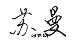 駱恆光蘇曼行書個性簽名怎么寫