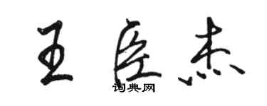 駱恆光王臣傑行書個性簽名怎么寫