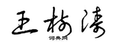 曾慶福王樹濤草書個性簽名怎么寫