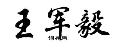 胡問遂王軍毅行書個性簽名怎么寫