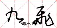 王冬齡九飛草書怎么寫