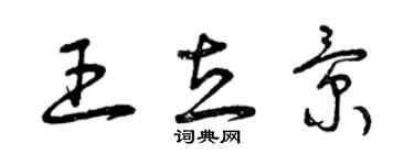 曾慶福王立景草書個性簽名怎么寫