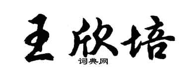 胡問遂王欣培行書個性簽名怎么寫