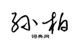 梁錦英孫柏草書個性簽名怎么寫