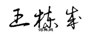 曾慶福王棟成草書個性簽名怎么寫