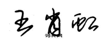 朱錫榮王肖虹草書個性簽名怎么寫