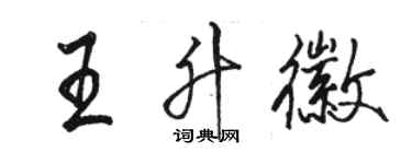 駱恆光王升徽行書個性簽名怎么寫