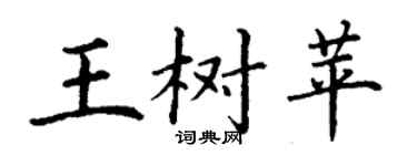 丁謙王樹苹楷書個性簽名怎么寫