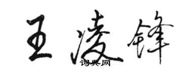 駱恆光王凌鋒行書個性簽名怎么寫