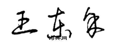 曾慶福王東余草書個性簽名怎么寫