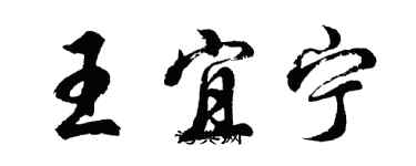 胡問遂王宜寧行書個性簽名怎么寫