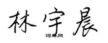 王正良林宇晨行書個性簽名怎么寫