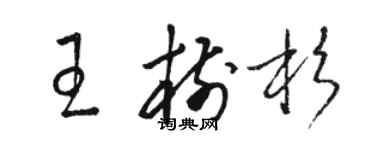 駱恆光王樹杉草書個性簽名怎么寫