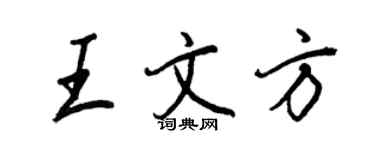 王正良王文方行書個性簽名怎么寫