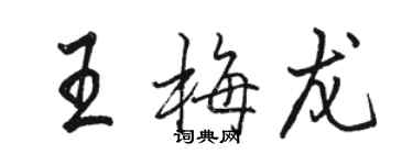 駱恆光王梅龍行書個性簽名怎么寫