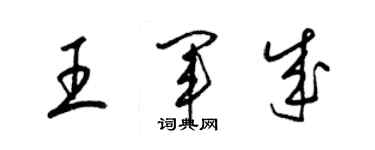 梁錦英王軍成草書個性簽名怎么寫