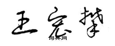 曾慶福王宏攀草書個性簽名怎么寫