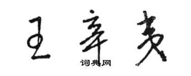 駱恆光王辛夷草書個性簽名怎么寫