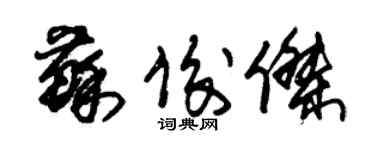 朱錫榮蘇俊傑草書個性簽名怎么寫