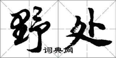 胡問遂野處行書怎么寫