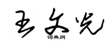 朱錫榮王文光草書個性簽名怎么寫