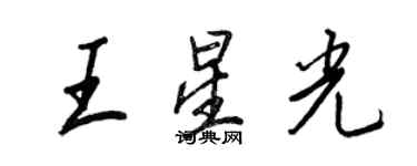 王正良王星光行書個性簽名怎么寫