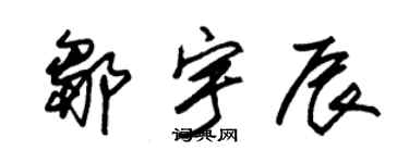 朱錫榮鄒宇辰草書個性簽名怎么寫