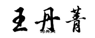 胡問遂王丹菁行書個性簽名怎么寫