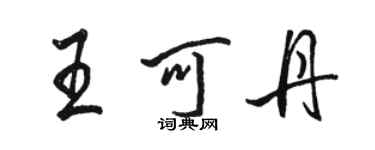 駱恆光王可丹行書個性簽名怎么寫