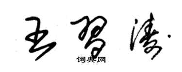 朱錫榮王習濤草書個性簽名怎么寫