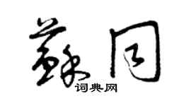 曾慶福蘇同草書個性簽名怎么寫