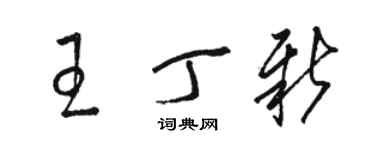 駱恆光王丁新草書個性簽名怎么寫