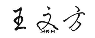 駱恆光王文方行書個性簽名怎么寫