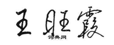 駱恆光王旺霞行書個性簽名怎么寫