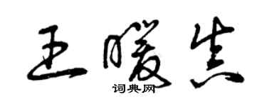 曾慶福王暖真草書個性簽名怎么寫