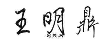 駱恆光王明鼎行書個性簽名怎么寫