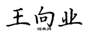 丁謙王向業楷書個性簽名怎么寫