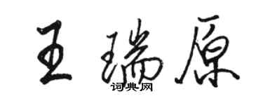 駱恆光王瑞原行書個性簽名怎么寫
