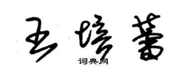 朱錫榮王培蕾草書個性簽名怎么寫